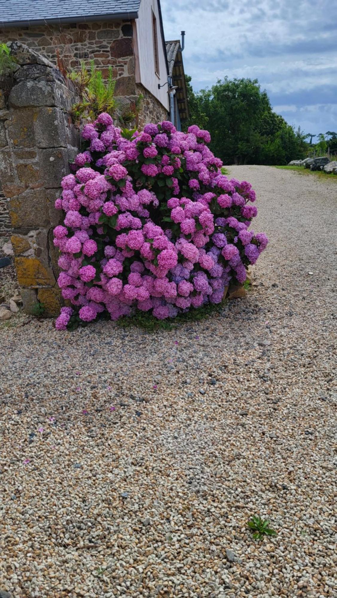 Gite Paimpol Le Loarwenn Exterior photo